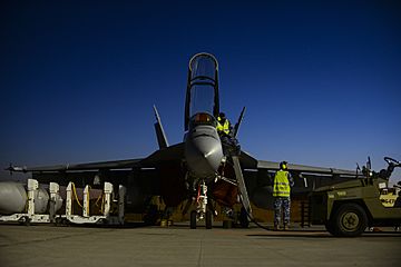 RAAF airmen working on a No 1 Squadron FA-18F in 2016