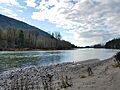 Sandy bank of a wide river with a strand of trees and a hillside on the other side