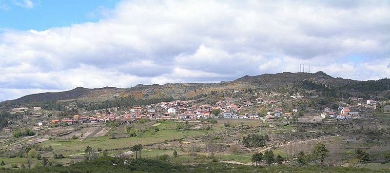 Ribalonga