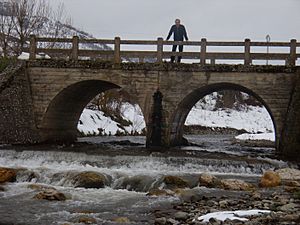 Bridge over Tirón River