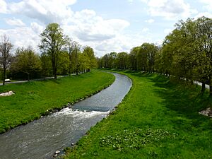 Roter Main (Bayreuth)