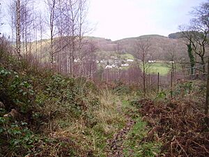 Satterthwaite from Hob Gill Plantation - geograph.org.uk - 288513