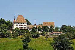 Schloss Burgistein 03 10