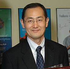 Shinya yamanaka10