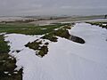 Snowy Yorkshire Wolds at West Lutton