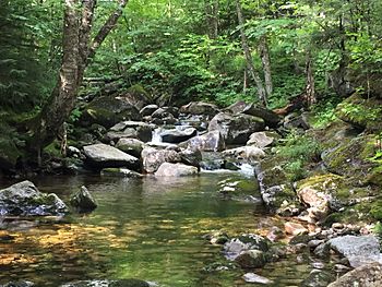 South Branch Gale River August 2018.jpg
