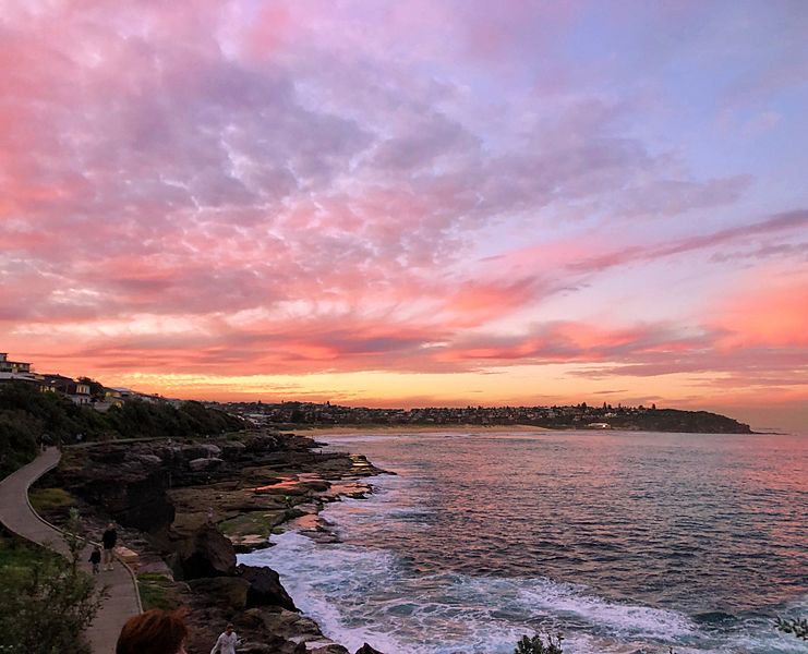 South Curl Curl Boardwalk