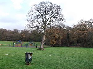 The Lawns, Upper Norwood (geograph 2735904).jpg