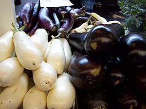 Three Types of Eggplant