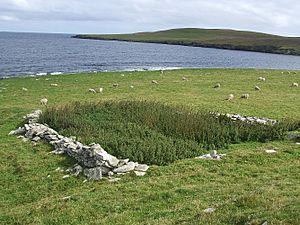 Traces of an ancient broch, Cullingsburgh - geograph.org.uk - 2707627.jpg