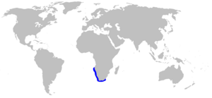 Triakis megalopterus distmap.png