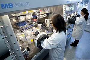 Two IPAS researchers working at a glove box in the Physics Building at The University of Adelaide (Australia)