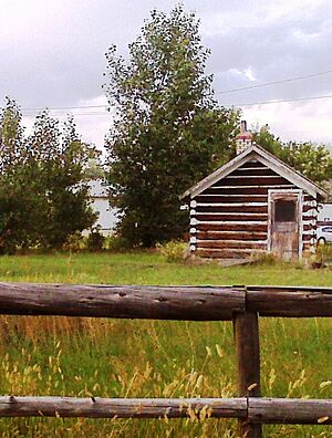 UlmHomestdatPishkin2