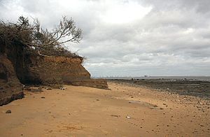 Uneven cliff erosion - geograph.org.uk - 724951