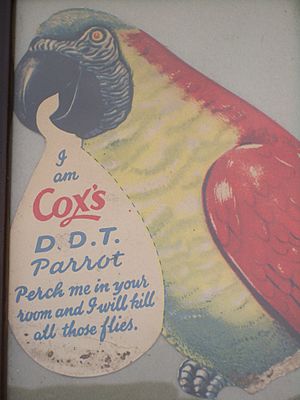VM 0253 Victoria - Cox's DDT Parrot