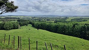 Farmland near Waitoki in Northern Auckland Region