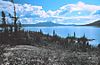 A large lake, surrounded by greenery, with mountains in the background