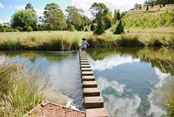 Weir in Tasmanian Arboretum, January 2009