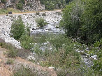West-Fork-San-Gabriel-River.jpg
