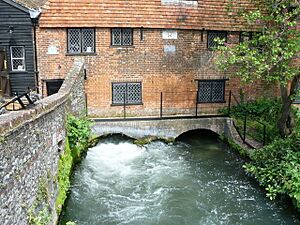 Winchester City Mill - geograph.org.uk - 1314028