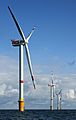 Windmills D1-D4 - Thornton Bank