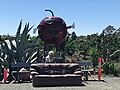 Wyuna Big Cherry 001