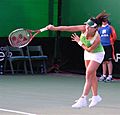 Zheng Jie