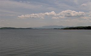 Zimmermans-island-site-tn1