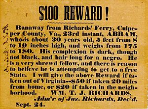 $100 bounty for runaway slave, Richards' Ferry, VA (cropped)