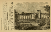 1876 Moores Hotel Trenton Falls New York advertisement