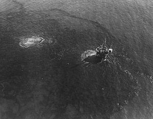 1969 Santa Barbara Oil Spill CA
