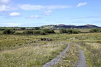 A view across Cors Erddreniog, Anglesey, Wales.jpg