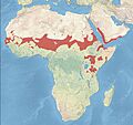 African Silverbill Distribution