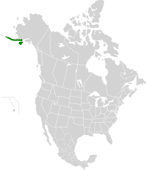 Alaska Peninsula Montane Taiga map.svg