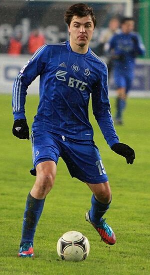 Alexandru Epureanu 2013