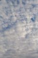 Altocumulus clouds NL
