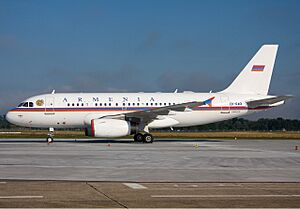 Armenian Govt Airbus A319CJ Simon-2
