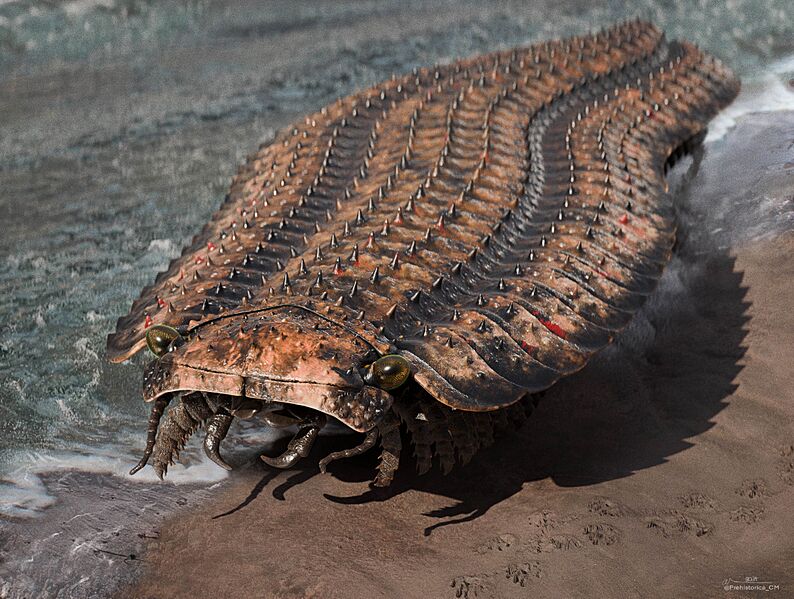 Arthropleura Reconstruction
