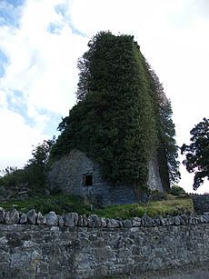 Ballyquirk Castle (geograph 2331736)
