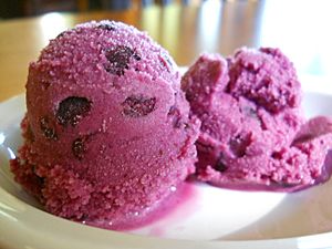 Blueberry frozen yoghurt (4937999312)