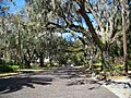 Brooksville Hist Dist Street02