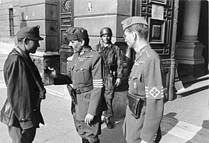 Bundesarchiv Bild 101I-680-8283A-27A, Budapest, ungarische Soldaten vor Verteidigungsministerium