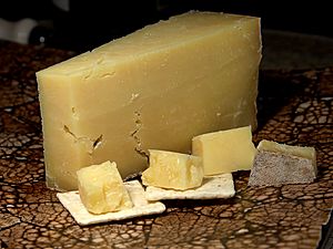 Cheese 46 bg 060106