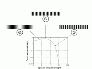 Contrast Sensitivity vs. Spacial Frequency
