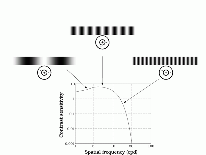 Contrast Sensitivity vs. Spacial Frequency