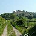 Croft Ambrey - geograph.org.uk - 802708