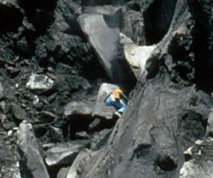 David Johnston near crest of the bulge on the north side of Mount St. Helens, 17 May 1980 (USGS) cropped 2