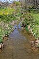 Dry Run looking upstream