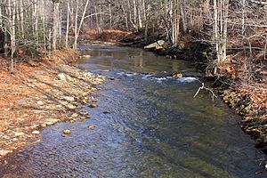 East Branch Fishing Creek looking upstream in December