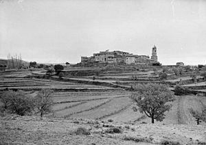 El poble de Pueyo de Marguillén voltat de camps de conreu (cropped).jpeg